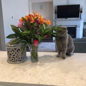 Meet your Posher, Adam